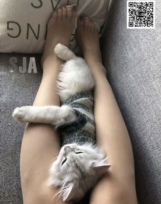 少妇无码肉欲精品视频_BD国语高清神马影院手机在线